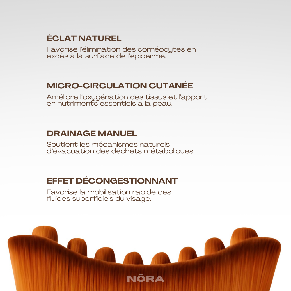 BROSSE DRAINANTE VISAGE